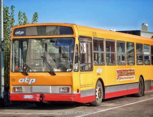 Menarini Monocar 201